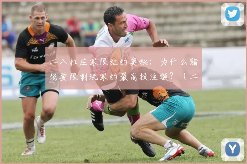 二八杠庄家限红的奥秘：为什么赌场要限制玩家的最高投注额？（二八杠庄家为何限红？赌场设置最高投注额的原因解析）
