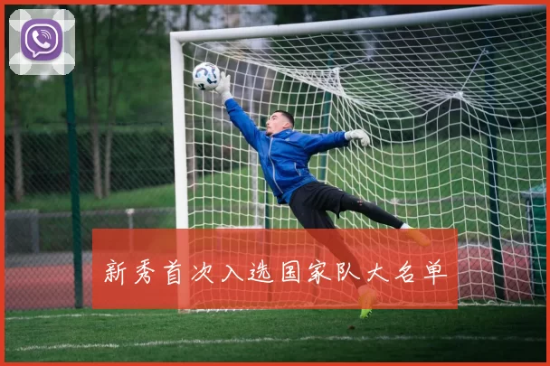 新秀首次入选国家队大名单