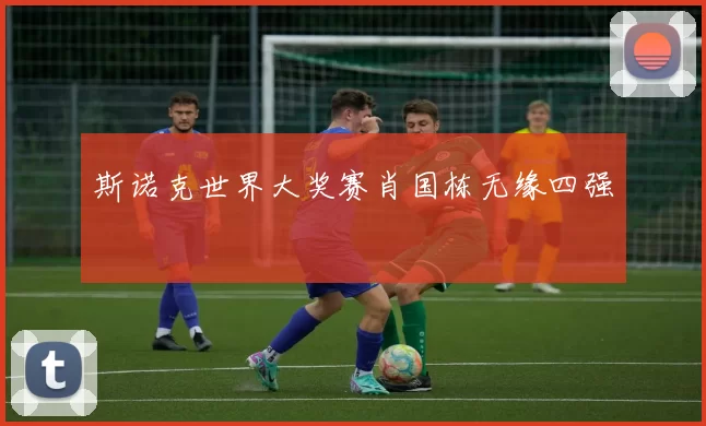 斯诺克世界大奖赛肖国栋无缘四强