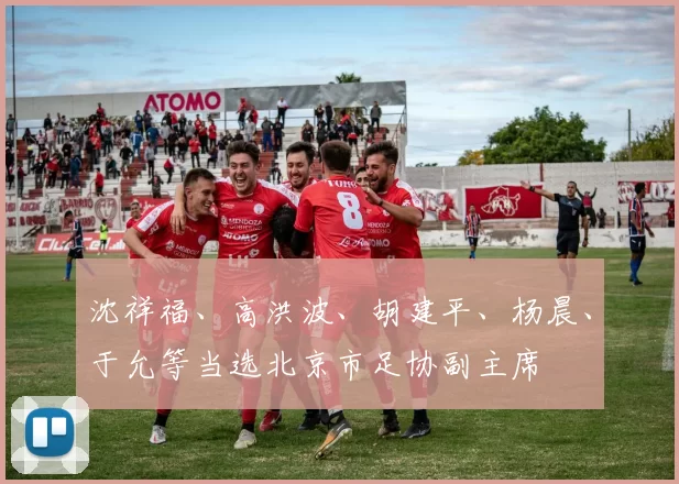 沈祥福、高洪波、胡建平、杨晨、于允等当选北京市足协副主席