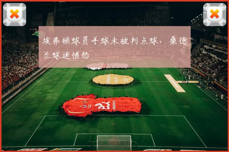 埃弗顿球员手球未被判点球，桑德兰球迷愤怒