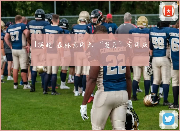 [英超]森林无同木 “蓝月”有同庆