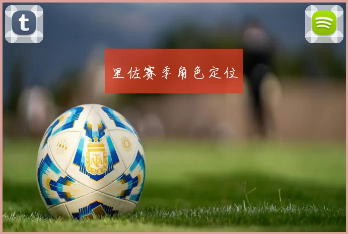 里佐赛季角色定位