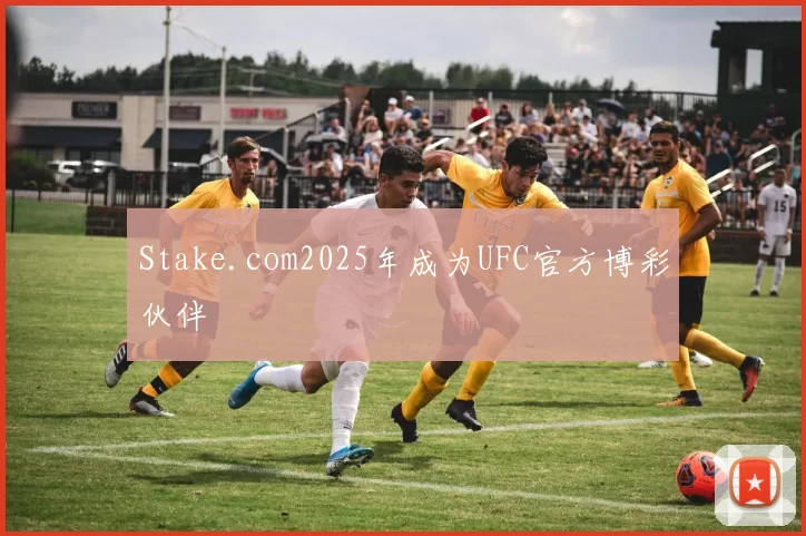 Stake.com2025年成为UFC官方博彩伙伴
